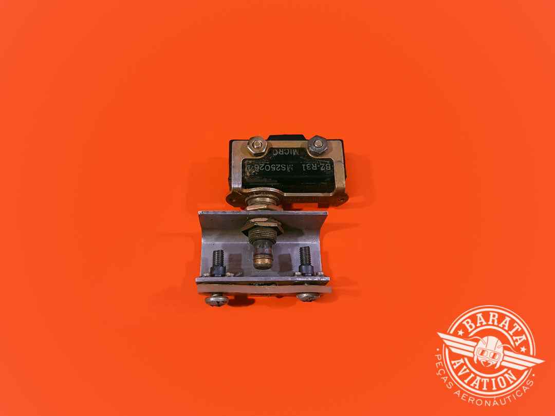 Switch Door, Baggage P/N MS25026