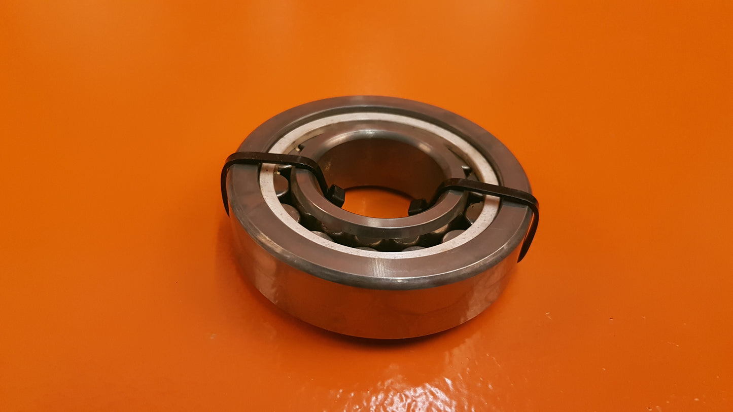 1-300-666-01 FAB Bearing Roller