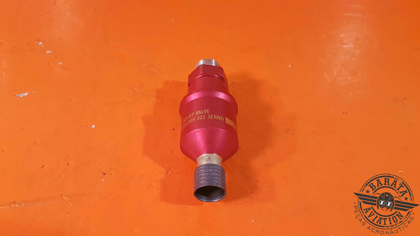 81011205-103 Derogene Relief Valve Assy