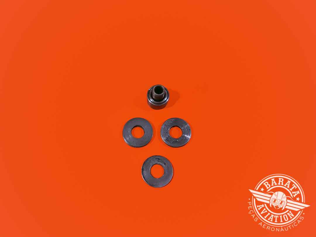 Roletes de Flap - Roller Assembly - P/N 0523920