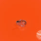 Cable de protección - N.° de pieza 0460124-1