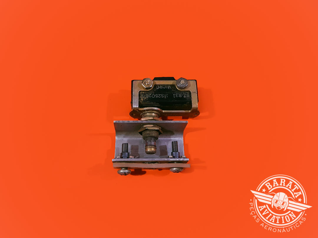 Switch Door, Baggage P/N MS25026