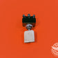 312TS1217-70 Interruptor de palanca con microinterruptor