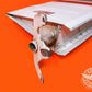 65342-02 Rudder Assy- Small Damage