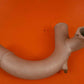 631875 Continental Tube Assy