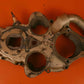 643829 Continental Case Acessory
