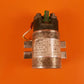 2931412903 Kissling Relay