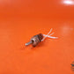 HONEYWELL SWITCH TOGGLE SPDT  2 POSITIONS P/N: 111TW600-3
