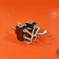 KIT OF 2 SWITCHES  P/N MS25201-4