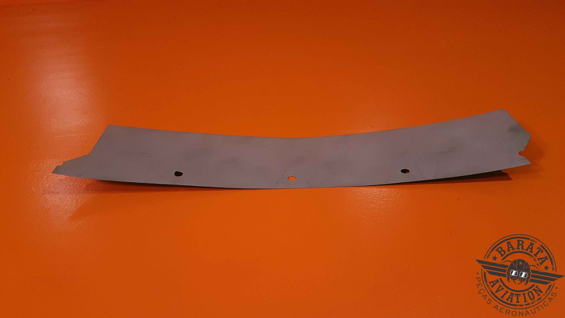 3109307-01   P&W Strip, Outer Deflector