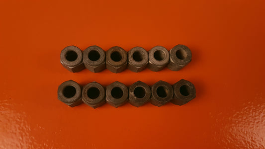Kit of 12 Nuts