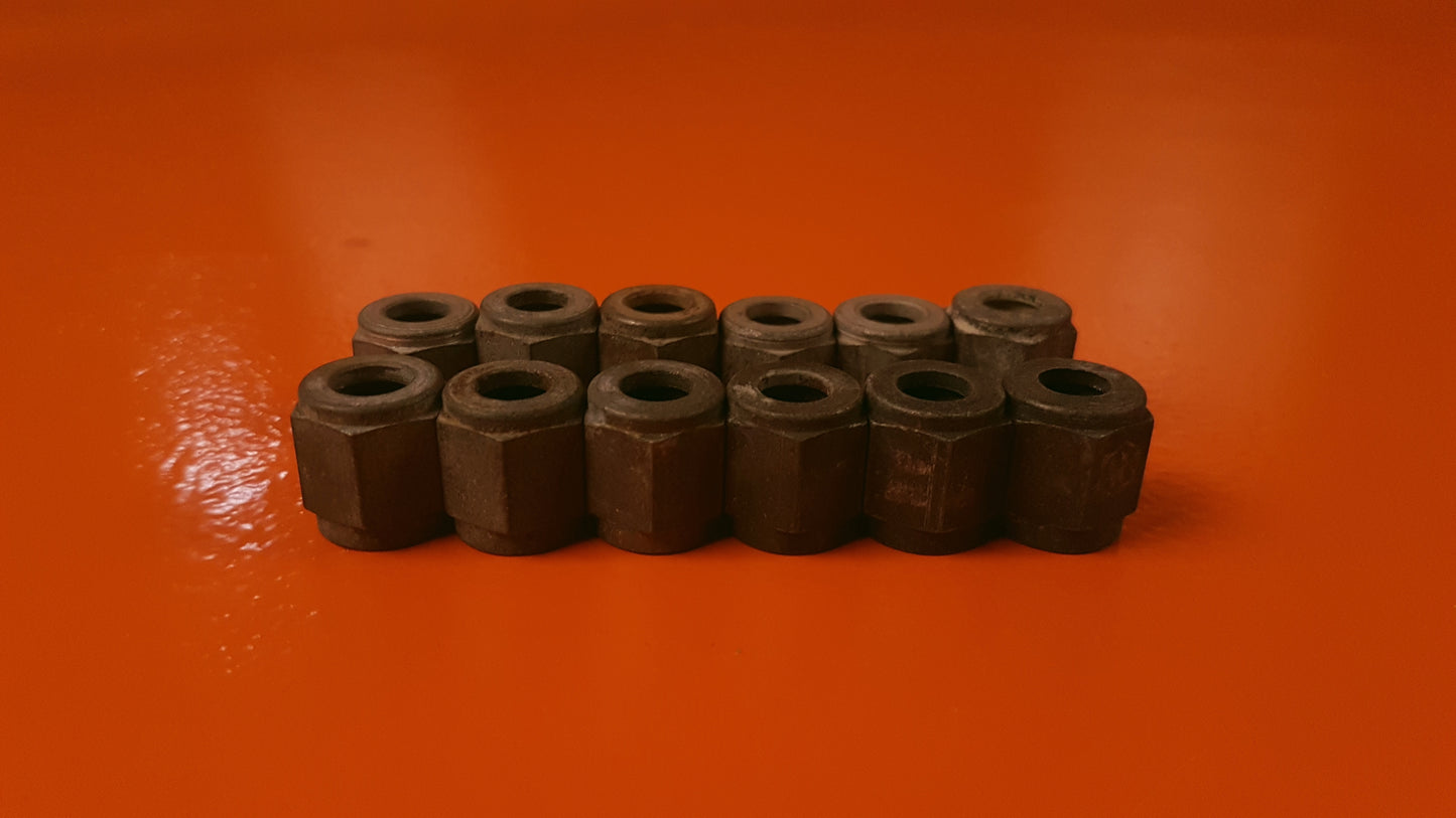 Kit of 12 Nuts