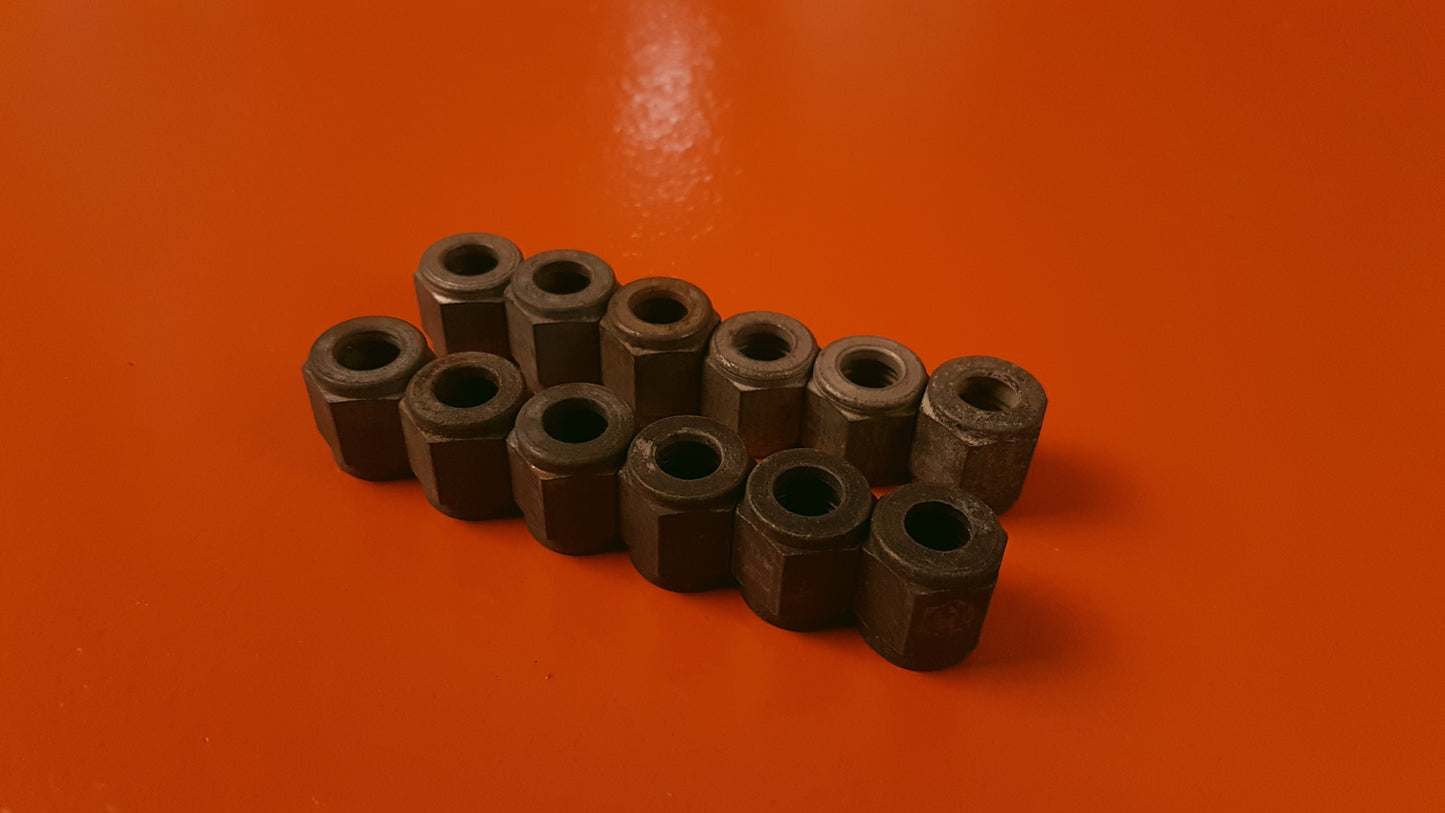 Kit of 12 Nuts