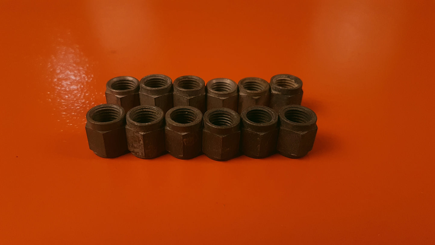 Kit of 12 Nuts