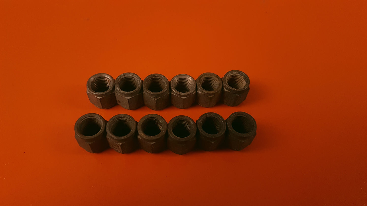 Kit of 12 Nuts