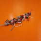 7101 C&K Toggle Switch Kit