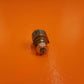 308-1662-000 Allen-Bradley Type G Variable Resistor