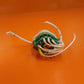 1P10T Rotary Switch Assy