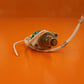 1P10T Rotary Switch Assy
