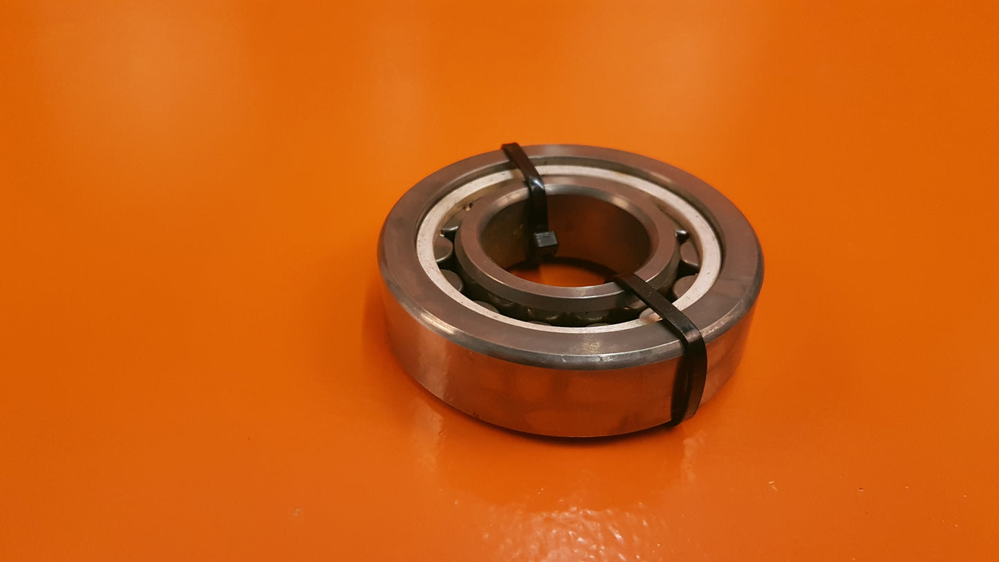1-300-666-01 FAB Bearing Roller