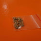 MS51021-9 Set Screw