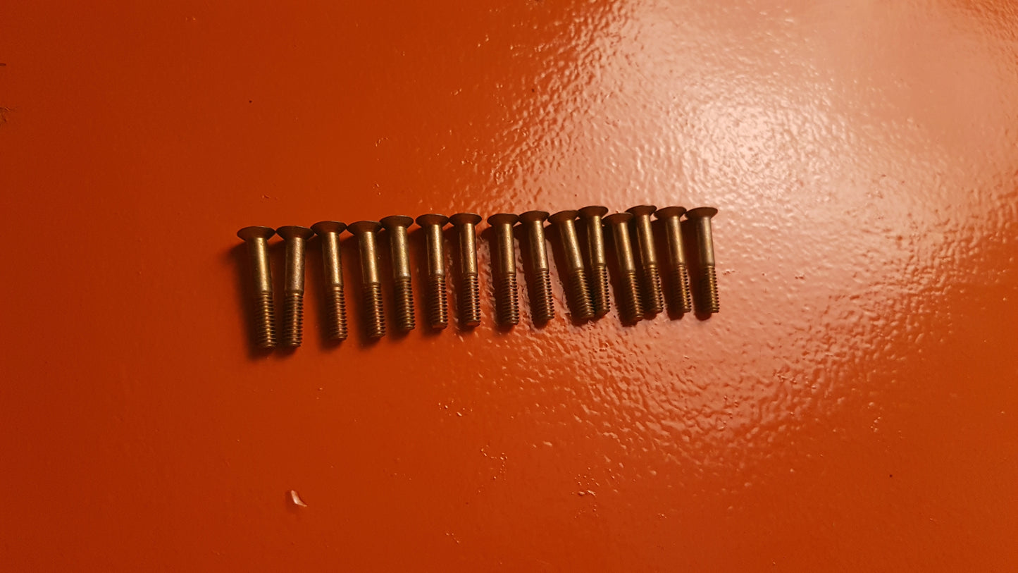 Flat Head Phillips Screw Kit - w/ 15 units