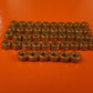 AN365C-632 Locknut Kit