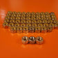 AN365-524A Nut Kit