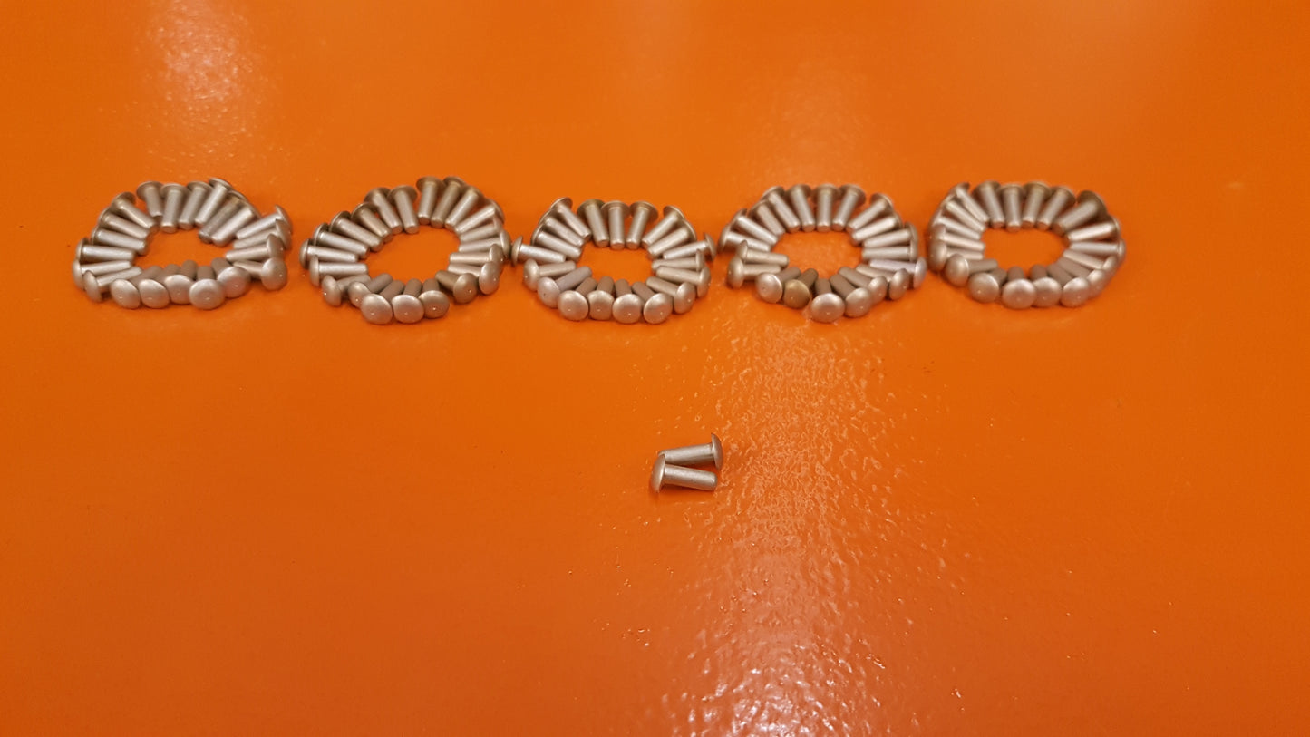 AN470A-4-6 Rivet Kit