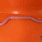 2619171-5 Learjet Duct Assy