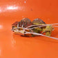 129415-026 Learjet Solenoid Assy