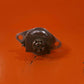 4953503-11 Dee Howard Latch Actuador Assy