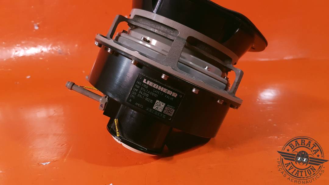 81147A010101 Liebherr Safety Valve Assy