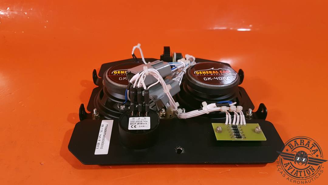 T700G925450000010 Conjunto de panel