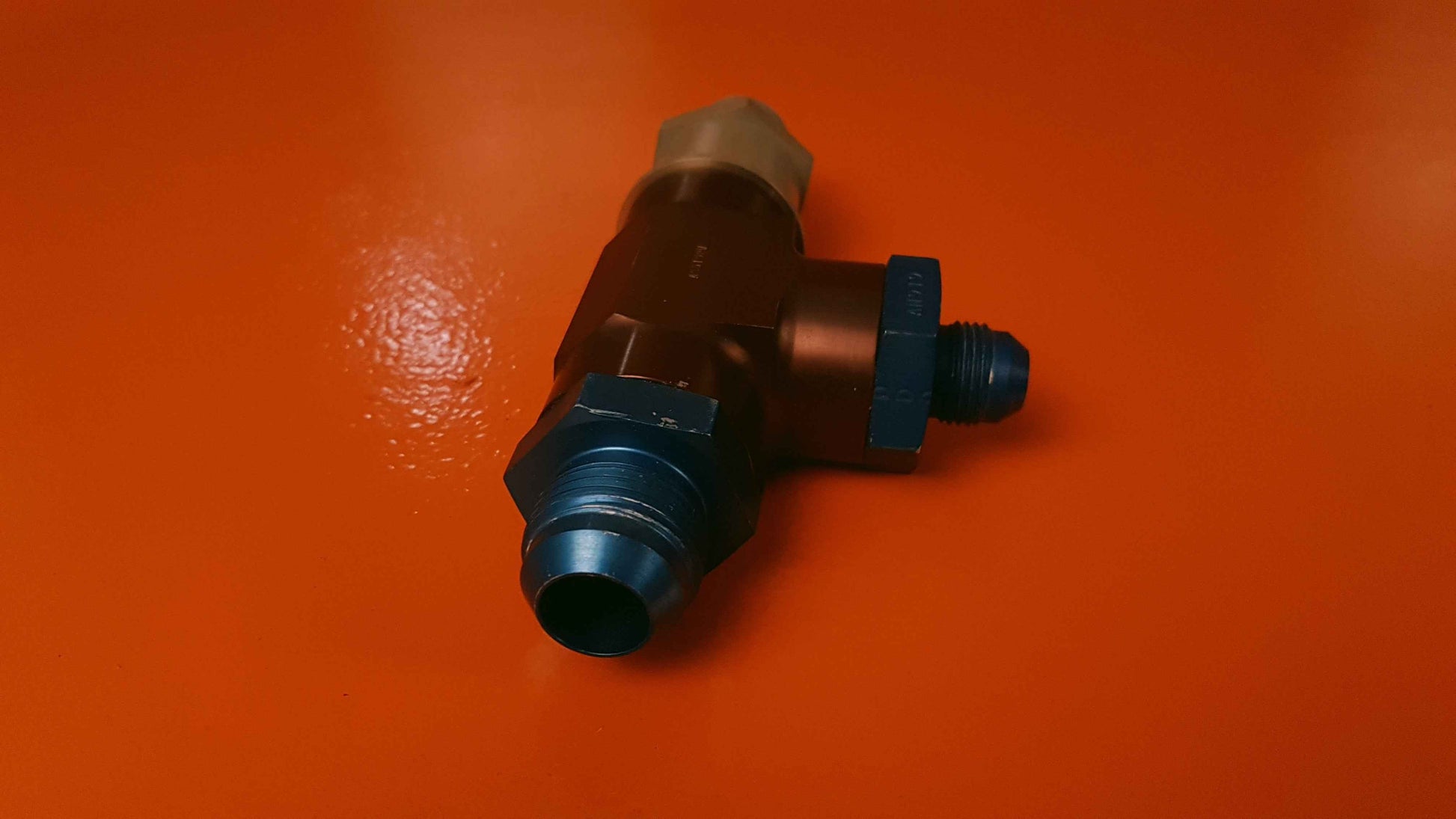 L96-19-007P4 Intertechnique Check Valve