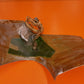 9914312-6 Cessna Citation III 650 Wing Root Fairing Assy RH