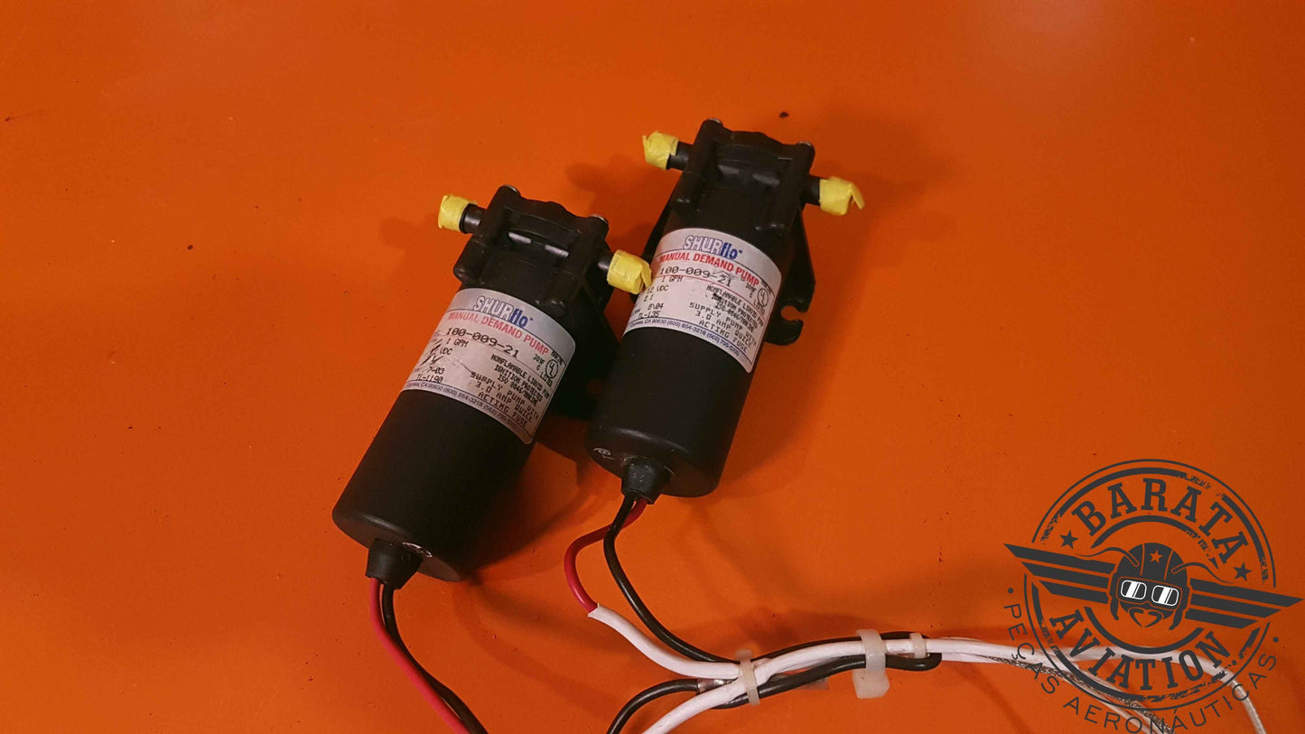 100-009-21 Shurflo Manual Demand Pump