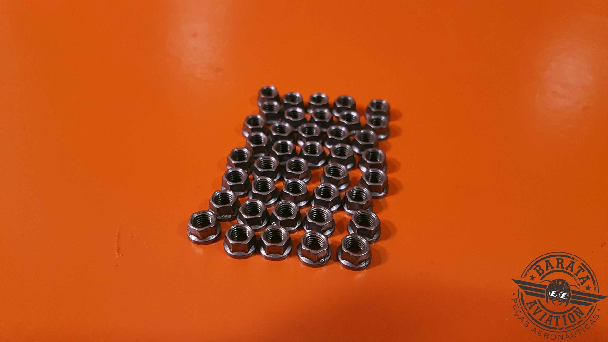 MS21042L3 - Kit of  40 Nuts  - Novo
