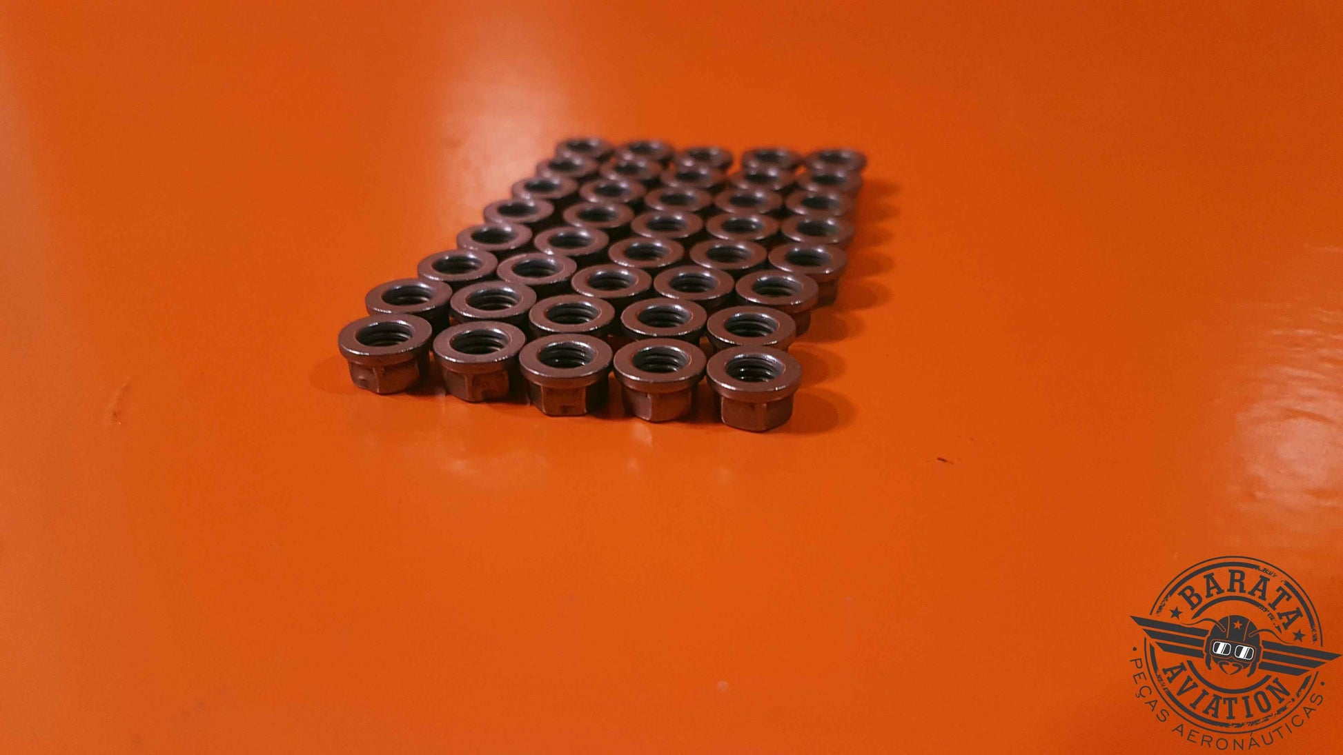 MS21042L3 - Kit of  40 Nuts  - Novo